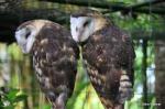 images-47